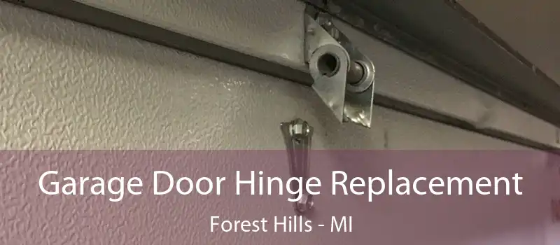  Garage Door Hinge Replacement Forest Hills - MI