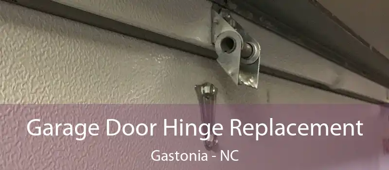  Garage Door Hinge Replacement Gastonia - NC