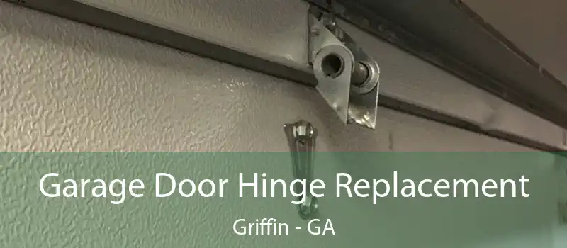  Garage Door Hinge Replacement Griffin - GA