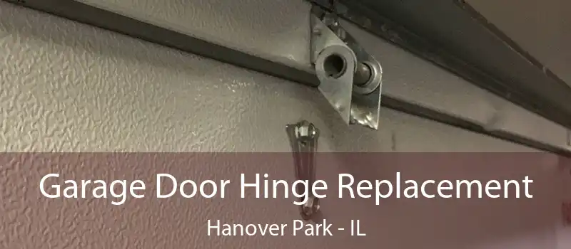  Garage Door Hinge Replacement Hanover Park - IL
