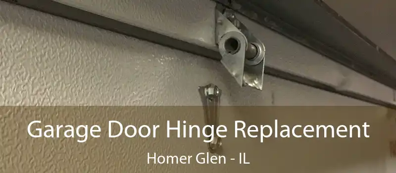  Garage Door Hinge Replacement Homer Glen - IL