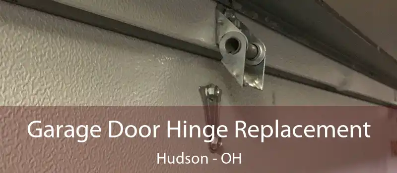  Garage Door Hinge Replacement Hudson - OH