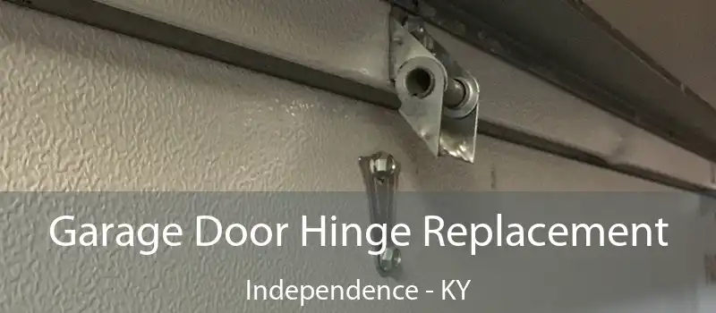 Garage Door Hinge Replacement Independence - KY