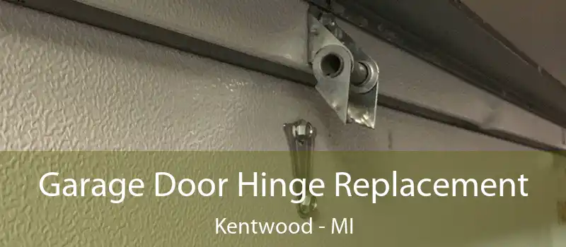  Garage Door Hinge Replacement Kentwood - MI