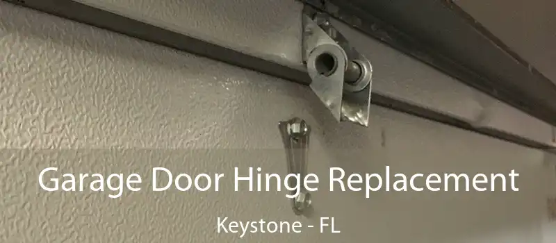 Garage Door Hinge Replacement Keystone - FL