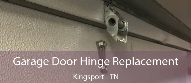  Garage Door Hinge Replacement Kingsport - TN