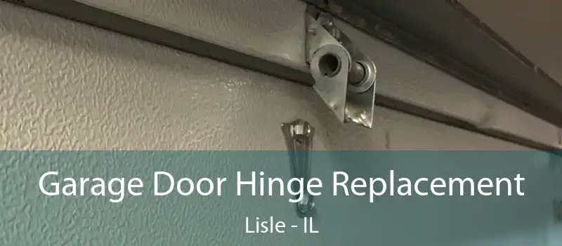  Garage Door Hinge Replacement Lisle - IL