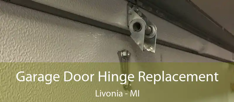  Garage Door Hinge Replacement Livonia - MI