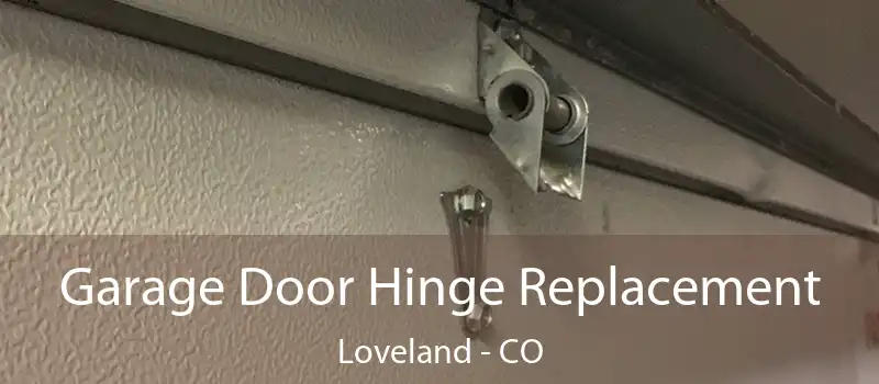  Garage Door Hinge Replacement Loveland - CO