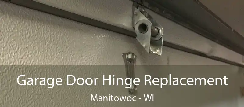  Garage Door Hinge Replacement Manitowoc - WI