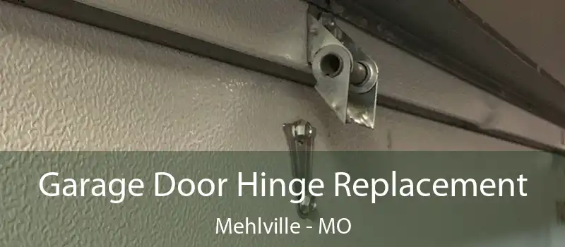  Garage Door Hinge Replacement Mehlville - MO