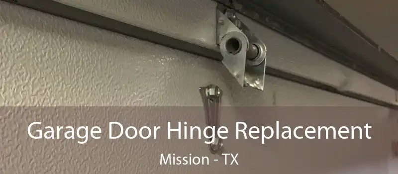  Garage Door Hinge Replacement Mission - TX