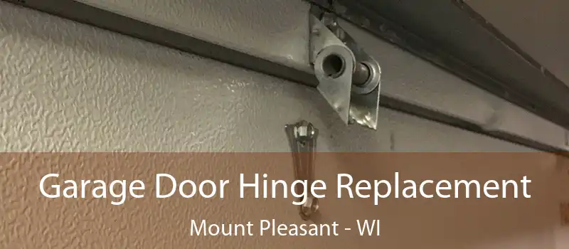 Garage Door Hinge Replacement Mount Pleasant - WI