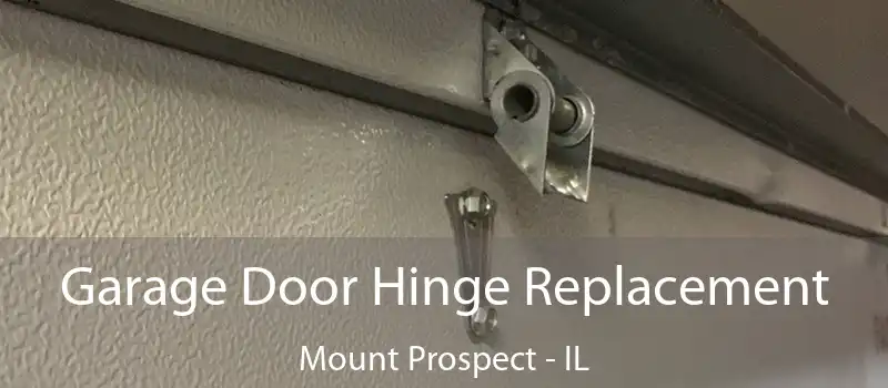  Garage Door Hinge Replacement Mount Prospect - IL