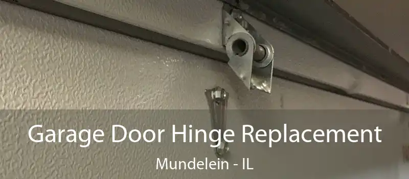  Garage Door Hinge Replacement Mundelein - IL