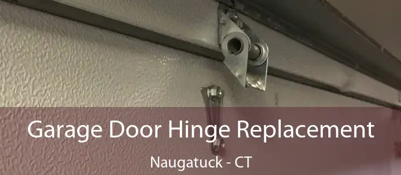  Garage Door Hinge Replacement Naugatuck - CT