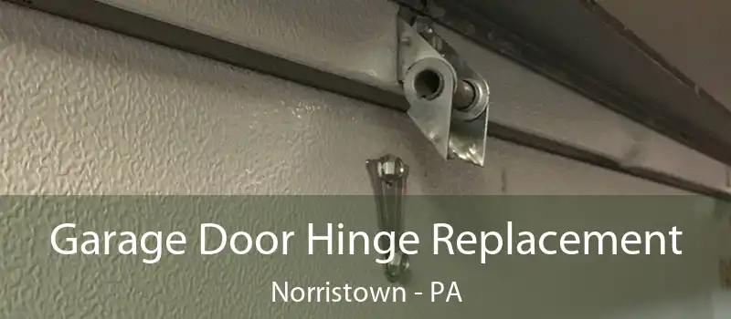  Garage Door Hinge Replacement Norristown - PA