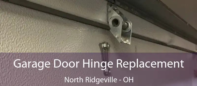  Garage Door Hinge Replacement North Ridgeville - OH