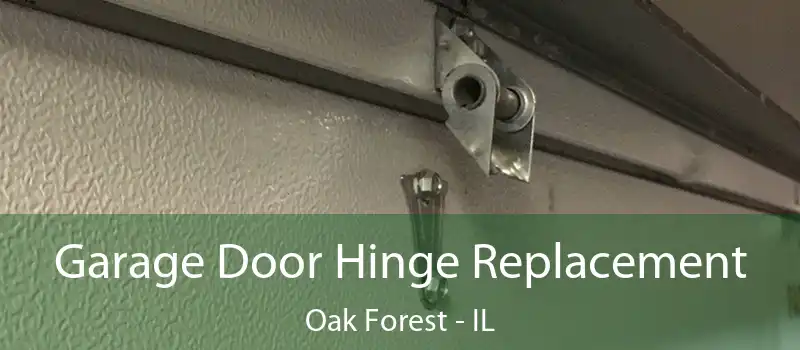 Garage Door Hinge Replacement Oak Forest - IL