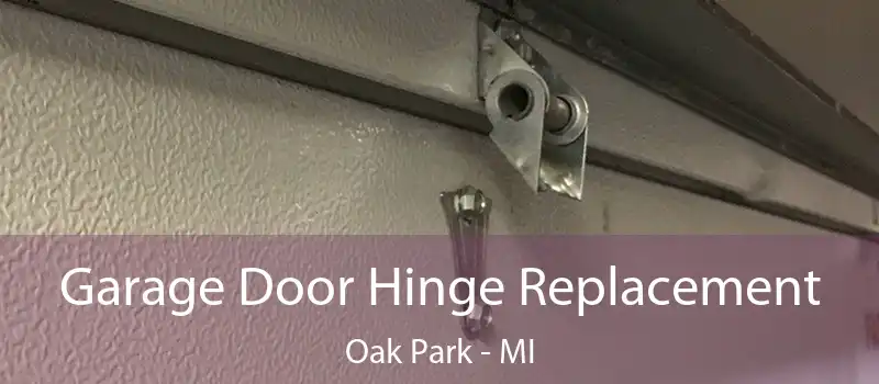  Garage Door Hinge Replacement Oak Park - MI