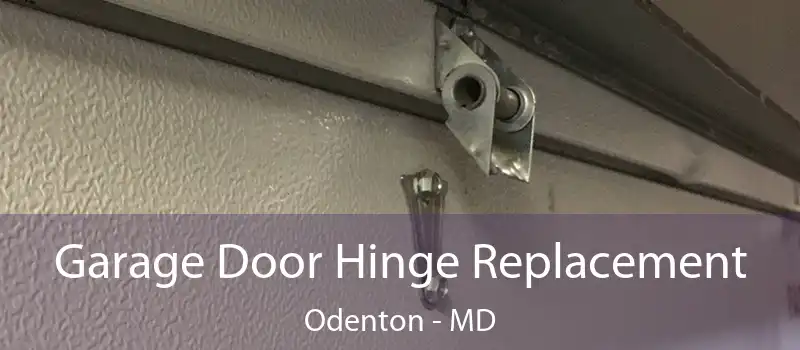  Garage Door Hinge Replacement Odenton - MD