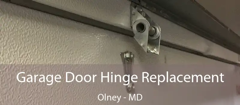 Garage Door Hinge Replacement Olney - MD
