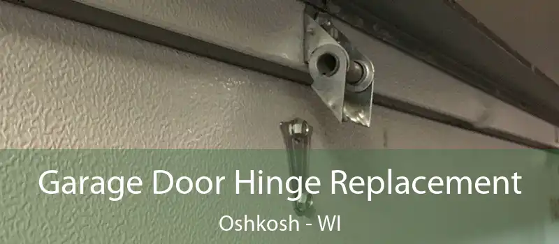 Garage Door Hinge Replacement Oshkosh - WI