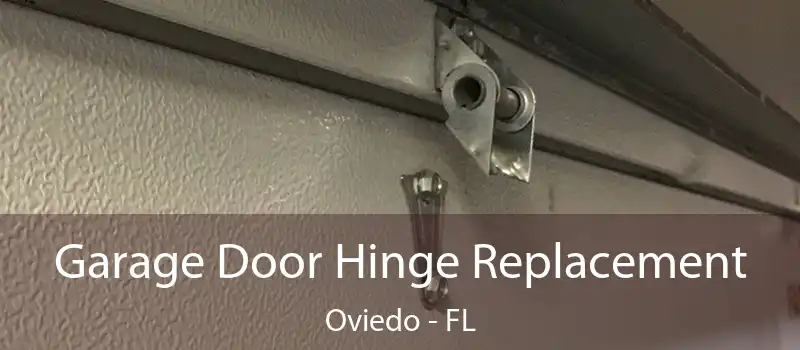 Garage Door Hinge Replacement Oviedo - FL