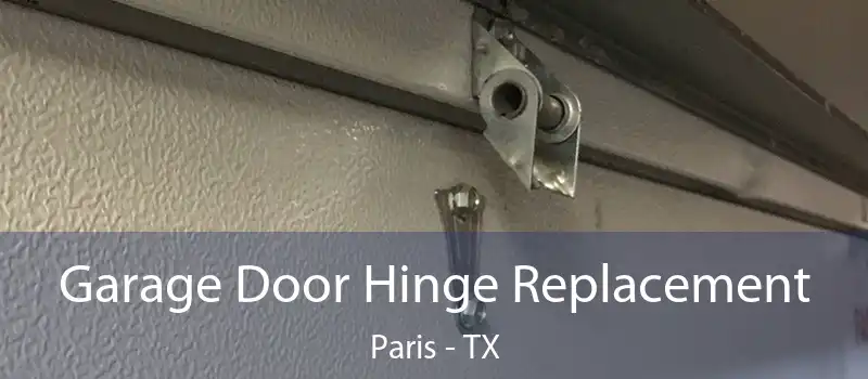 Garage Door Hinge Replacement Paris - TX