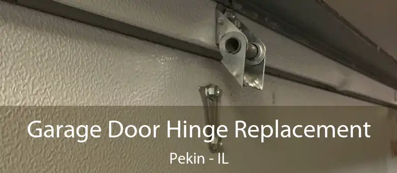  Garage Door Hinge Replacement Pekin - IL