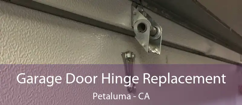  Garage Door Hinge Replacement Petaluma - CA