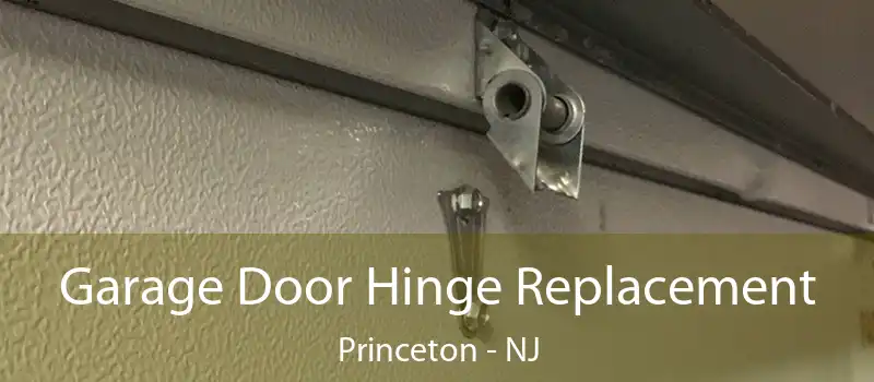  Garage Door Hinge Replacement Princeton - NJ