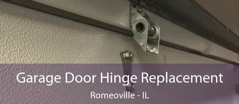  Garage Door Hinge Replacement Romeoville - IL