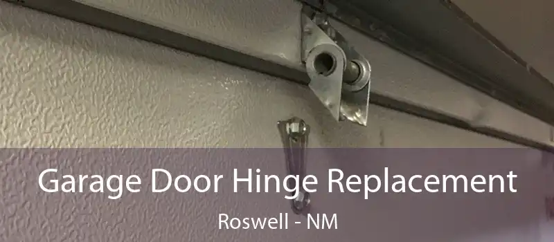  Garage Door Hinge Replacement Roswell - NM