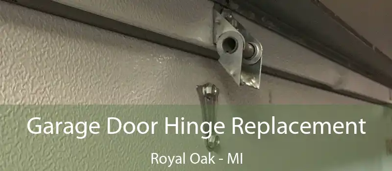 Garage Door Hinge Replacement Royal Oak - MI