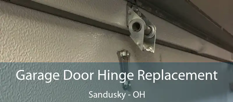  Garage Door Hinge Replacement Sandusky - OH