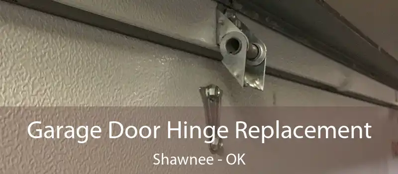  Garage Door Hinge Replacement Shawnee - OK