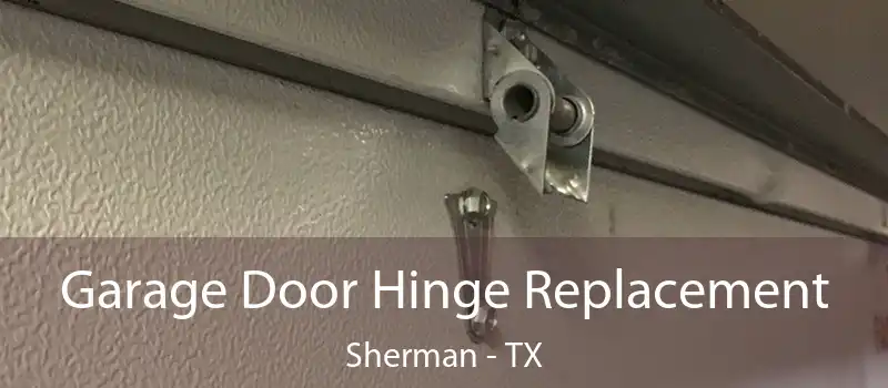  Garage Door Hinge Replacement Sherman - TX