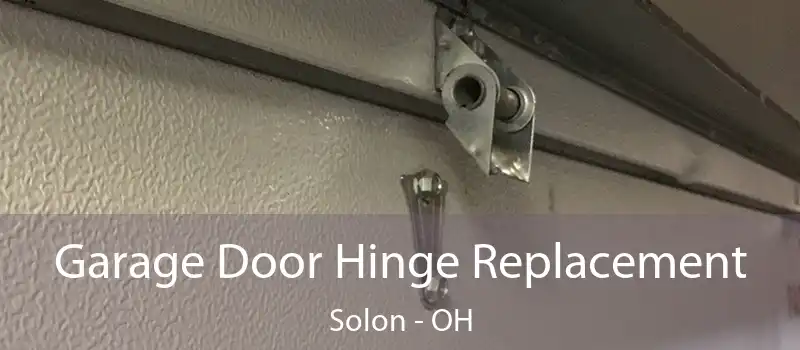  Garage Door Hinge Replacement Solon - OH