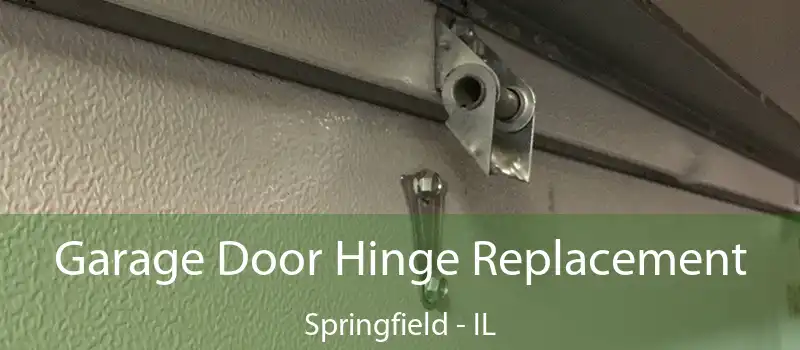  Garage Door Hinge Replacement Springfield - IL