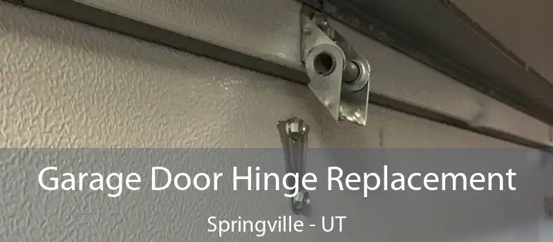 Garage Door Hinge Replacement Springville - UT