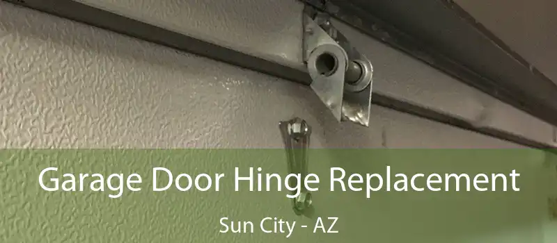  Garage Door Hinge Replacement Sun City - AZ