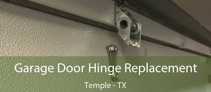 Garage Door Hinge Replacement Temple - TX