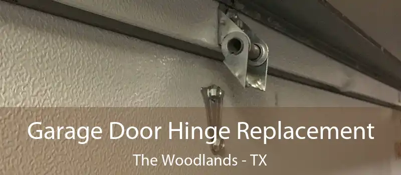 Garage Door Hinge Replacement The Woodlands - TX