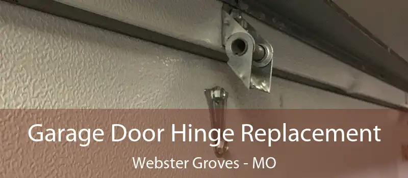  Garage Door Hinge Replacement Webster Groves - MO