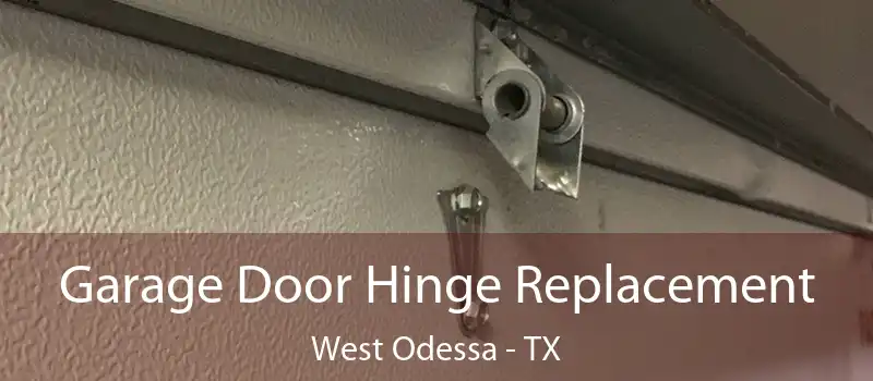  Garage Door Hinge Replacement West Odessa - TX