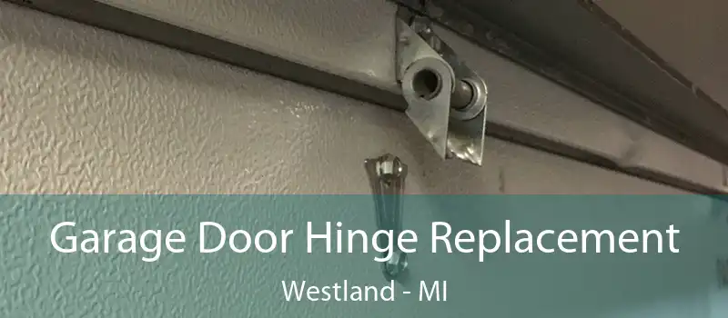  Garage Door Hinge Replacement Westland - MI