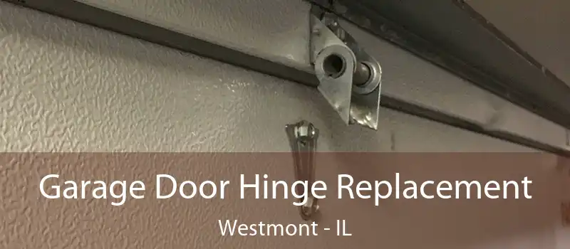 Garage Door Hinge Replacement Westmont - IL