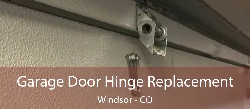  Garage Door Hinge Replacement Windsor - CO