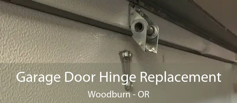  Garage Door Hinge Replacement Woodburn - OR